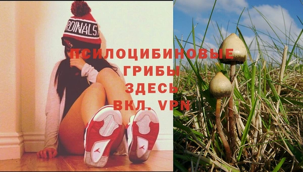 эйфоретик Козельск
