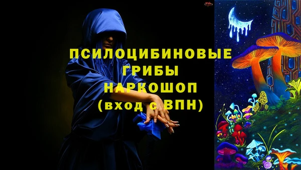 эйфоретик Козельск