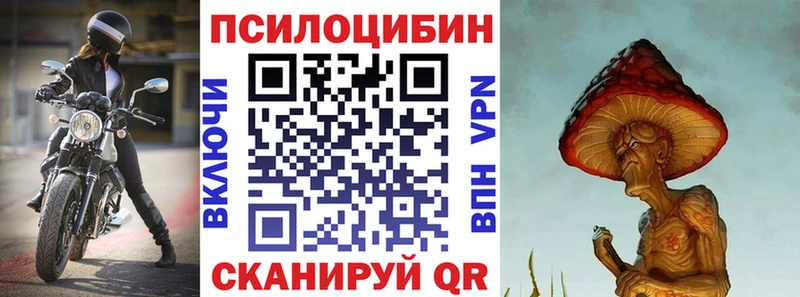 Галлюциногенные грибы Psilocybe  Купить закладки  Ахтырский 